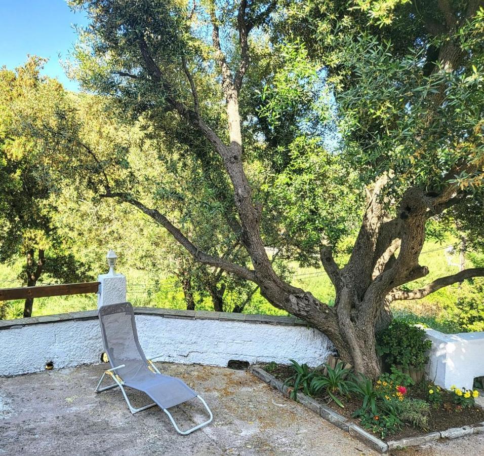 Cap Corse Une Villa Dans Un Nid De Verdure San-Martino-di-Lota Esterno foto